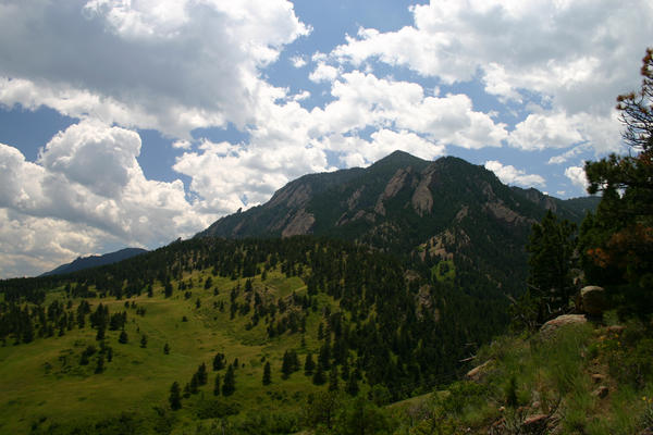 Flat Iron