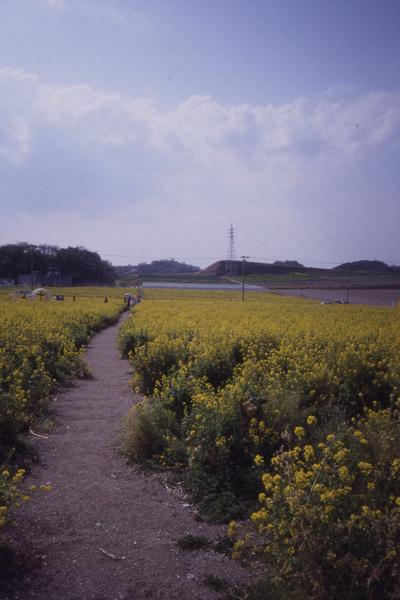 �ڤβ�Ȫ